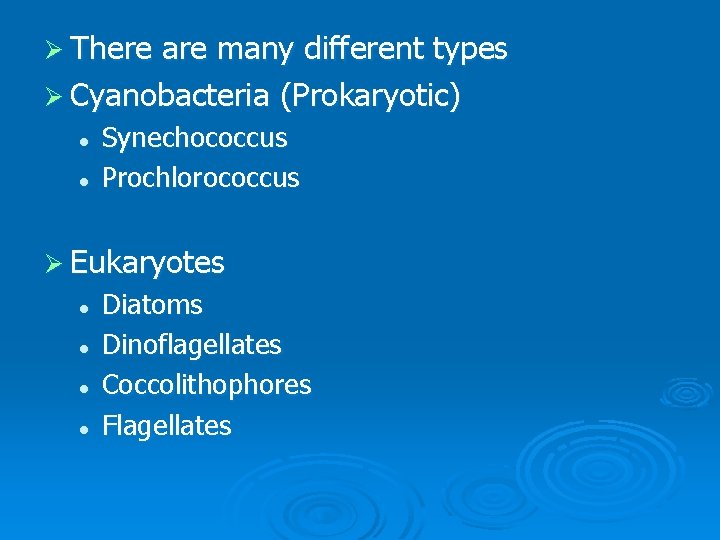 Ø There are many different types Ø Cyanobacteria (Prokaryotic) l l Synechococcus Prochlorococcus Ø