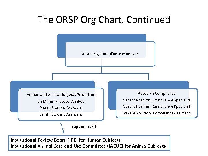 The ORSP Org Chart, Continued Alison Ng, Compliance Manager Human and Animal Subjects Protection