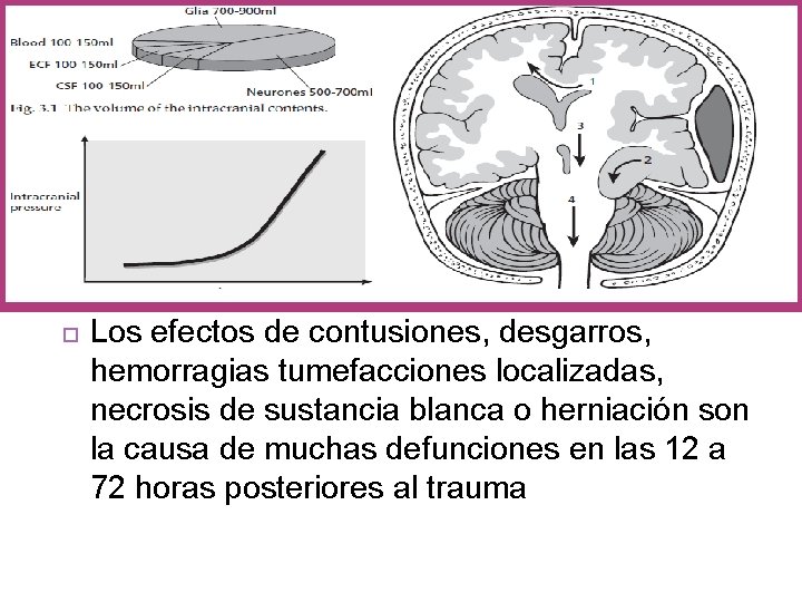  Los efectos de contusiones, desgarros, hemorragias tumefacciones localizadas, necrosis de sustancia blanca o