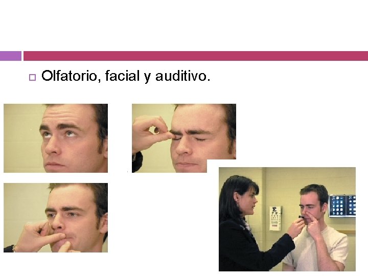  Olfatorio, facial y auditivo. 