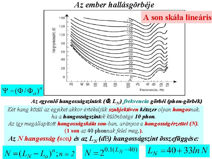 Az ember hallásgörbéje A son skála lineáris! Az egyenlő hangosságszintek ( , LN )