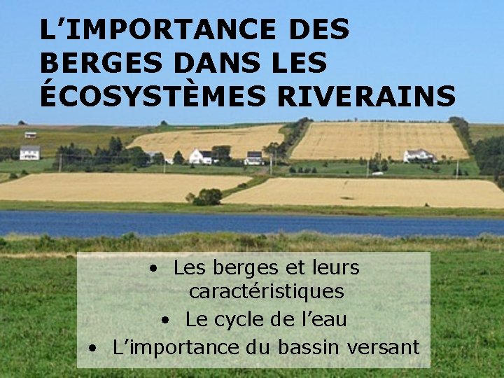 L’IMPORTANCE DES BERGES DANS LES ÉCOSYSTÈMES RIVERAINS • Les berges et leurs caractéristiques •