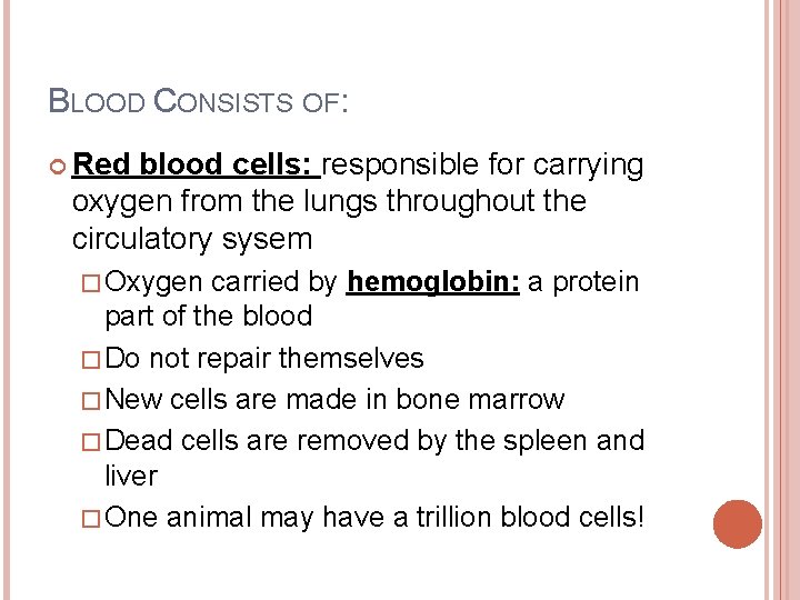 BLOOD CONSISTS OF: Red blood cells: responsible for carrying oxygen from the lungs throughout
