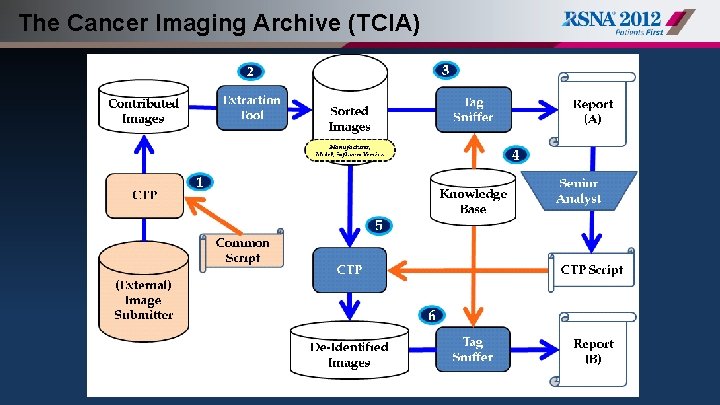 The Cancer Imaging Archive (TCIA) 