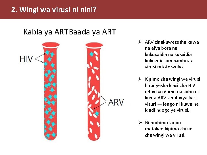 2. Wingi wa virusi ni nini? Kabla ya ARTBaada ya ART Ø ARV zinakuwezesha 2. Wingi wa virusi ni nini? Kabla ya ARTBaada ya ART Ø ARV zinakuwezesha