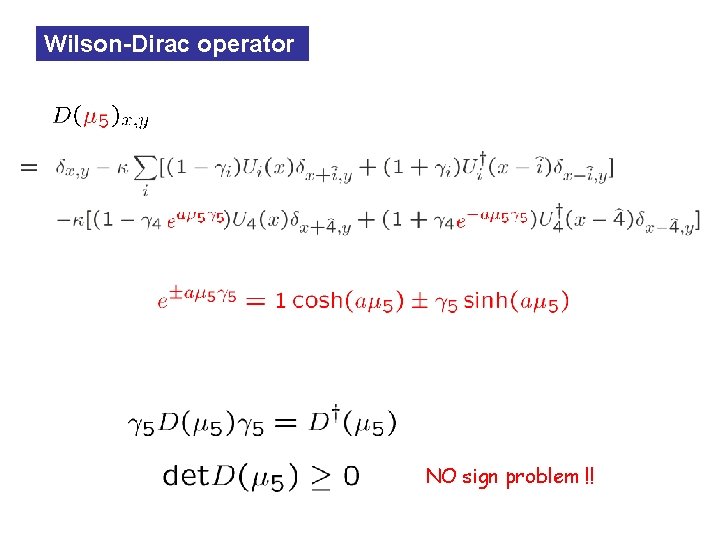 Wilson-Dirac operator NO sign problem !! 