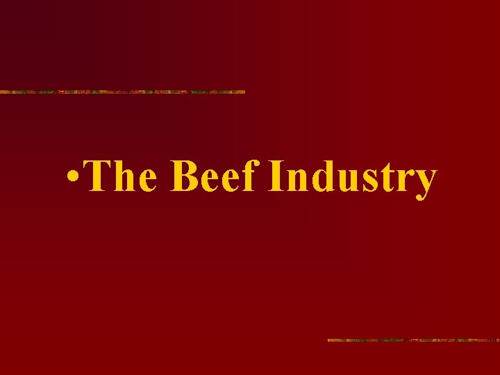  • The Beef Industry 