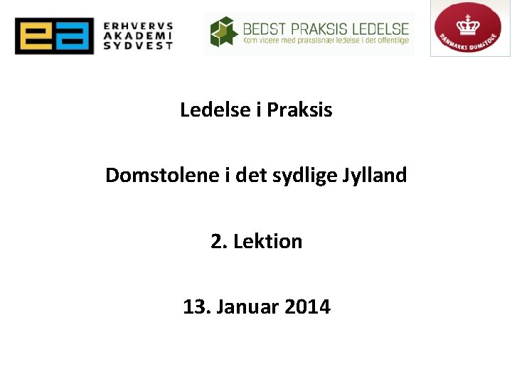 Ledelse i Praksis Domstolene i det sydlige Jylland 2. Lektion 13. Januar 2014 