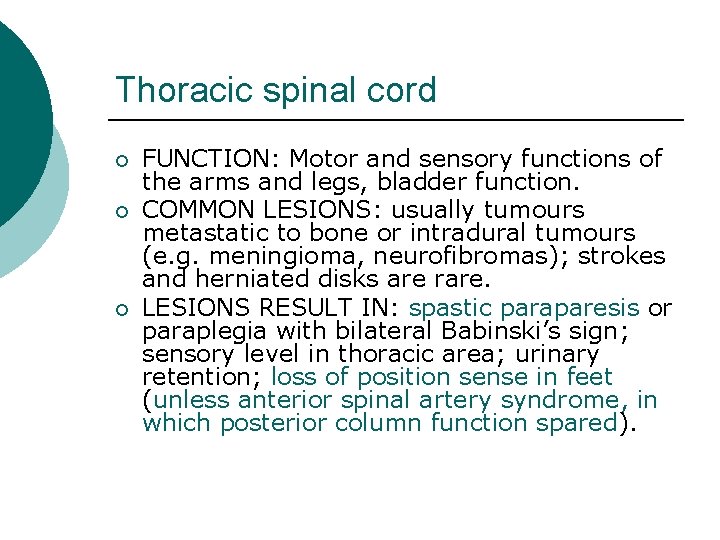 Thoracic spinal cord ¡ ¡ ¡ FUNCTION: Motor and sensory functions of the arms