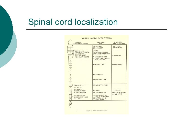 Spinal cord localization 