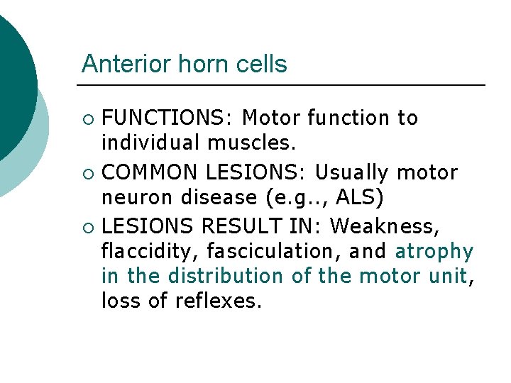 Anterior horn cells FUNCTIONS: Motor function to individual muscles. ¡ COMMON LESIONS: Usually motor