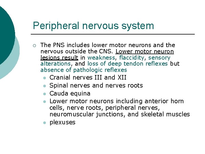 Peripheral nervous system ¡ The PNS includes lower motor neurons and the nervous outside