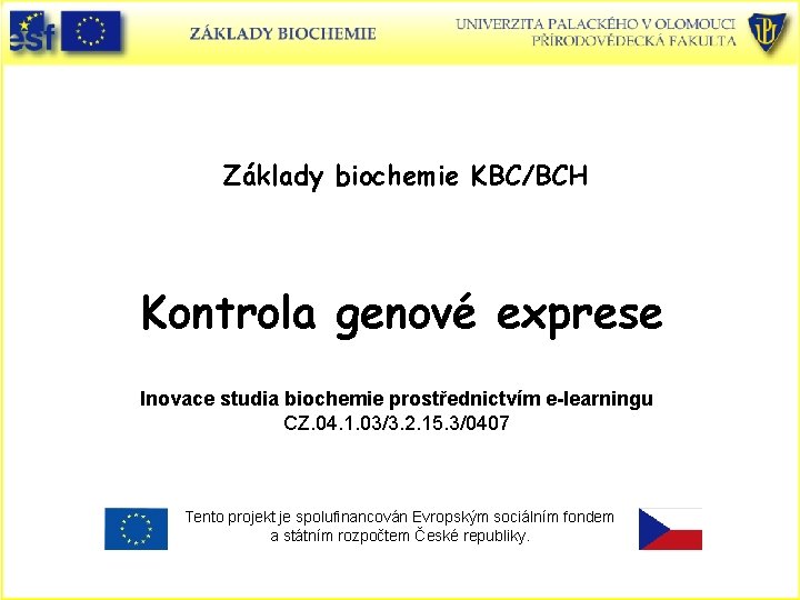 Základy biochemie KBC/BCH Kontrola genové exprese Inovace studia biochemie prostřednictvím e-learningu CZ. 04. 1.