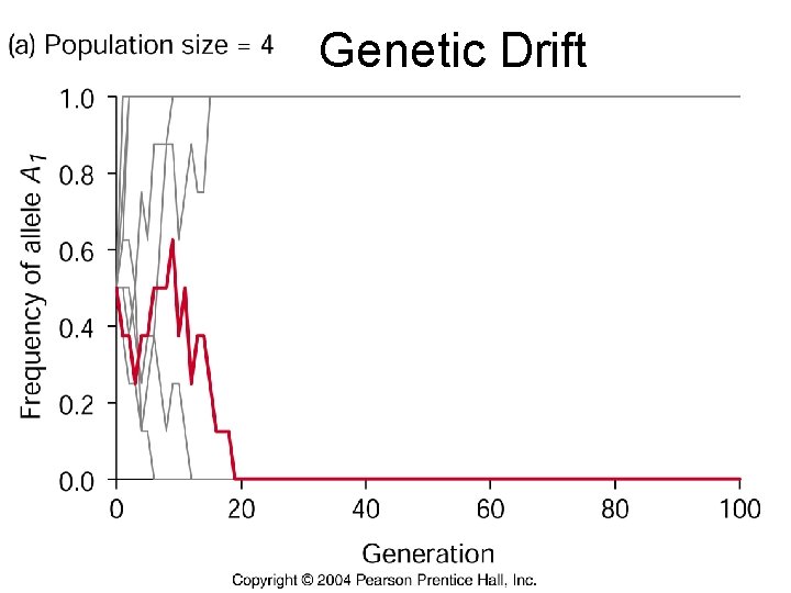 Genetic Drift 