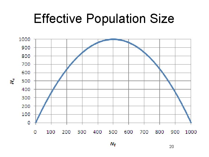 Effective Population Size 20 