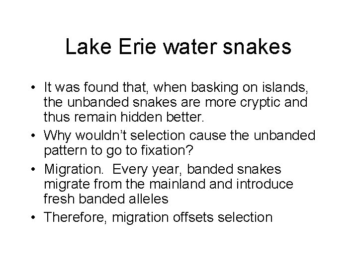 Lake Erie water snakes • It was found that, when basking on islands, the