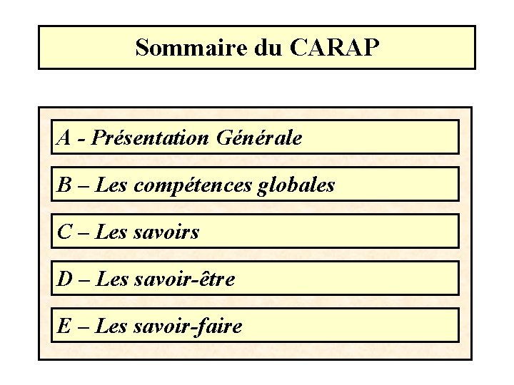 Sommaire du CARAP A - Présentation Générale B – Les compétences globales C –