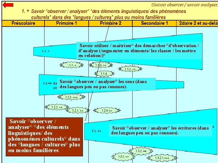  Savoir utiliser / maitriser° des démarches °d'observation / d'analyse (/segmenter en éléments/ les