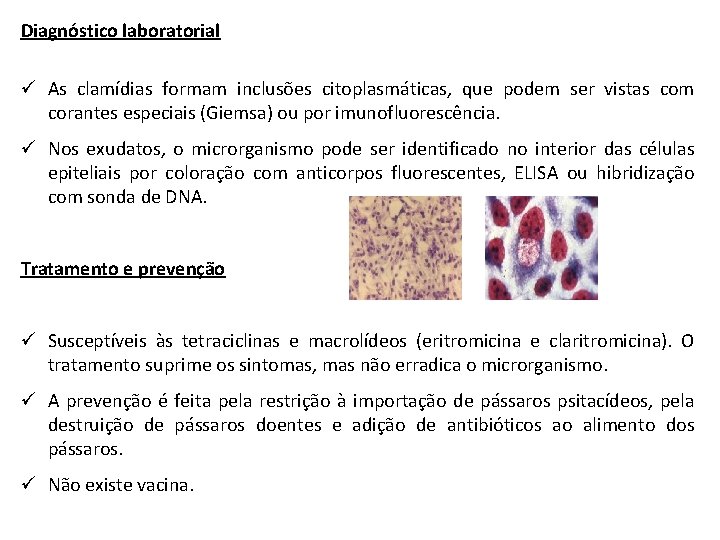 Diagnóstico laboratorial ü As clamídias formam inclusões citoplasmáticas, que podem ser vistas com corantes