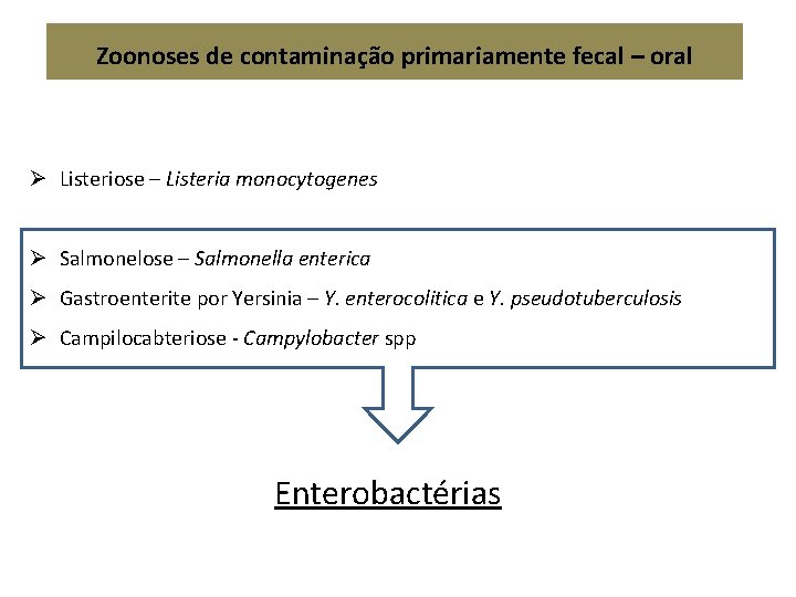 Zoonoses de contaminação primariamente fecal – oral Ø Listeriose – Listeria monocytogenes Ø Salmonelose