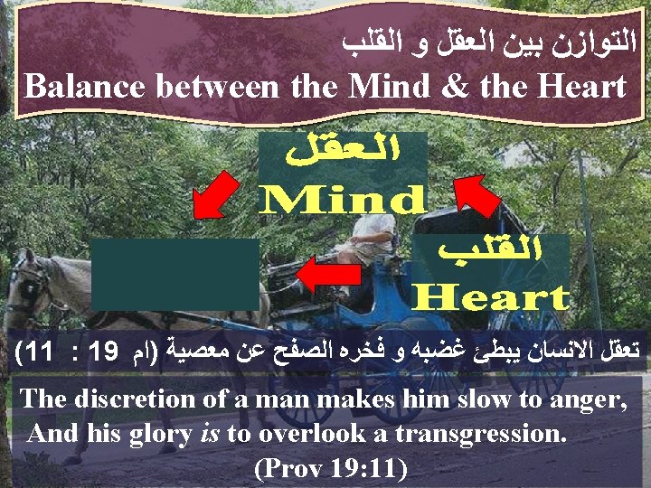  ﺍﻟﻘﻠﺐ ﻭ ﺍﻟﻌﻘﻞ ﺑﻴﻦ ﺍﻟﺘﻮﺍﺯﻥ Balance between the Mind & the Heart (11