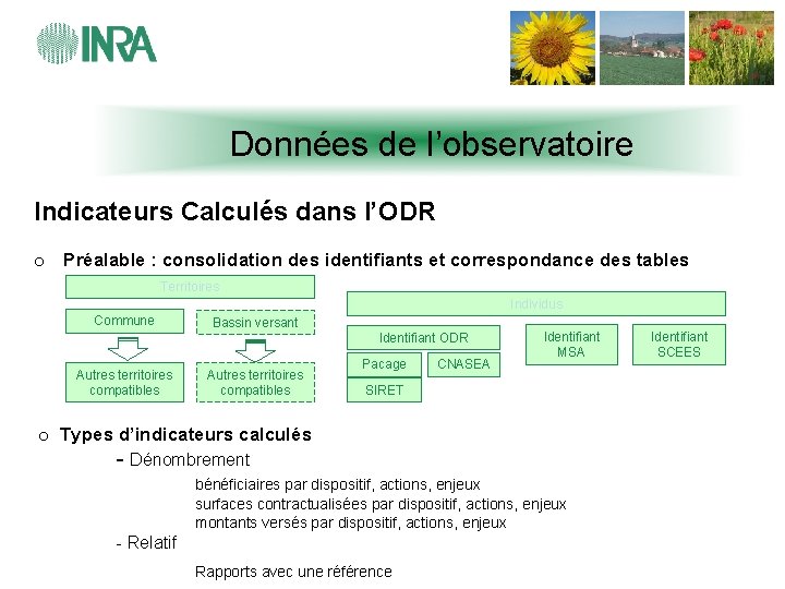 Données de l’observatoire Indicateurs Calculés dans l’ODR o Préalable : consolidation des identifiants et
