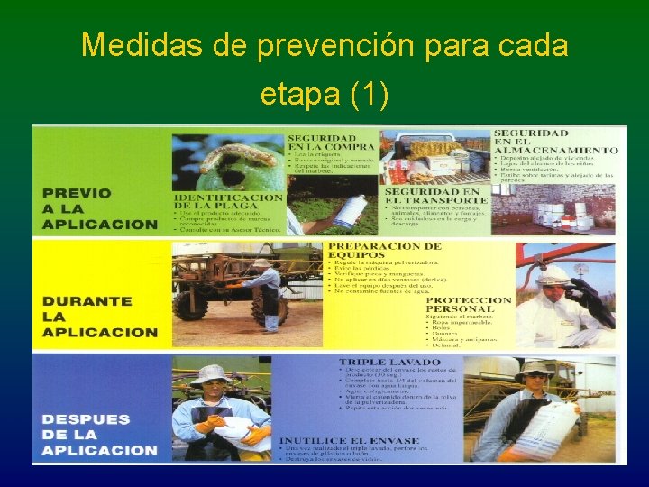 Medidas de prevención para cada etapa (1) 