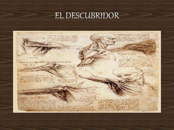 EL DESCUBRIDOR 