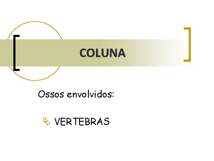 COLUNA Ossos envolvidos: Ä VERTEBRAS COLUNA Ossos envolvidos: Ä VERTEBRAS