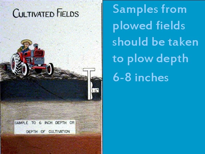 n. Samples from plowed fields should be taken to plow depth n 6 -8