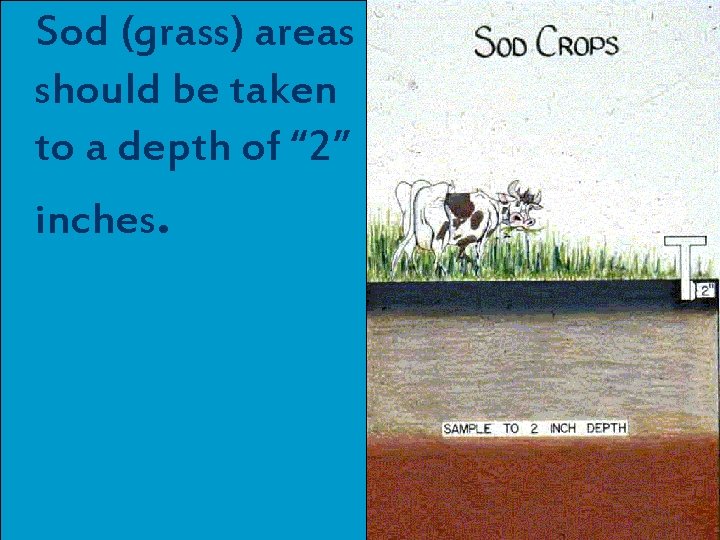 n. Sod (grass) areas should be taken to a depth of “ 2” inches.