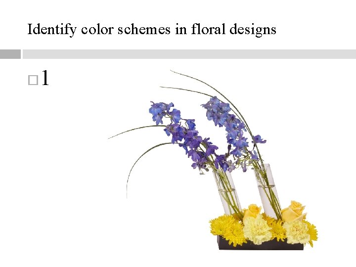 Identify color schemes in floral designs 1 