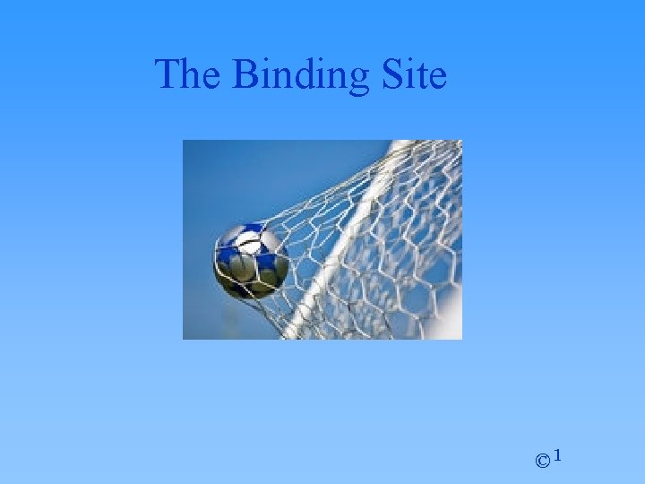 The Binding Site © 1 