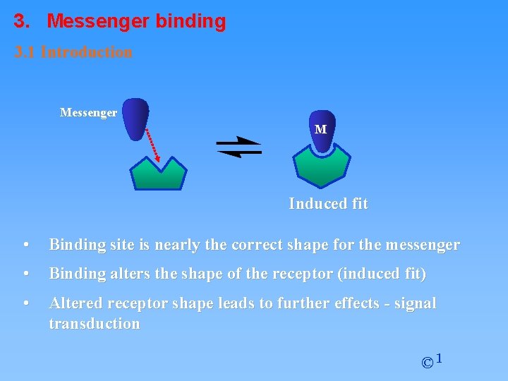 3. Messenger binding 3. 1 Introduction Messenger M Induced fit • Binding site is