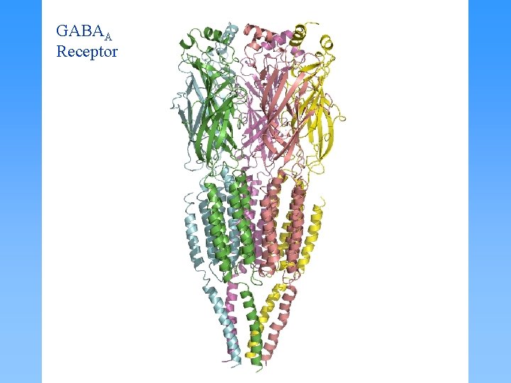 GABAA Receptor © 1 