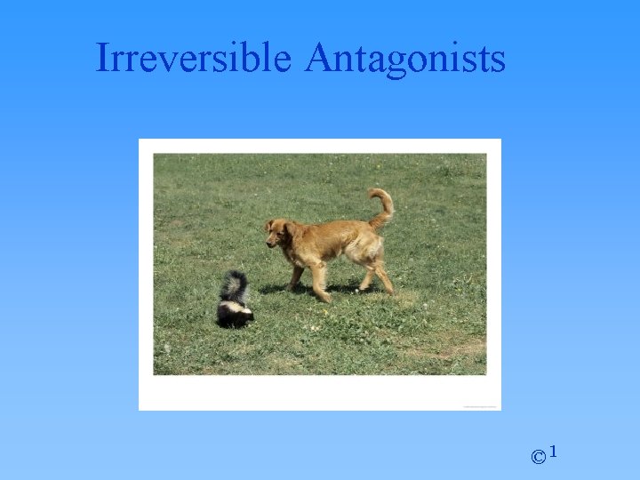 Irreversible Antagonists © 1 