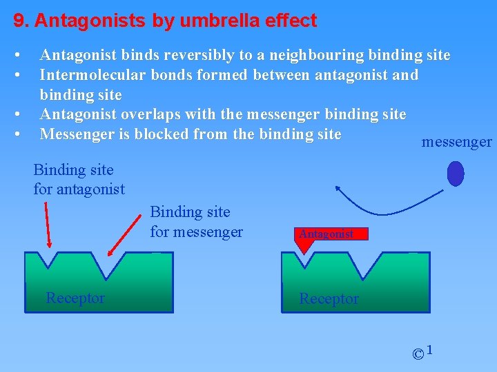 9. Antagonists by umbrella effect • • Antagonist binds reversibly to a neighbouring binding