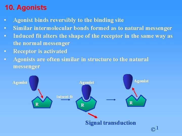 10. Agonists • • • Agonist binds reversibly to the binding site Similar intermolecular