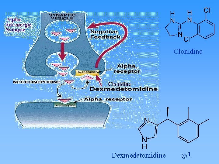 Clonidine Dexmedetomidine © 1 