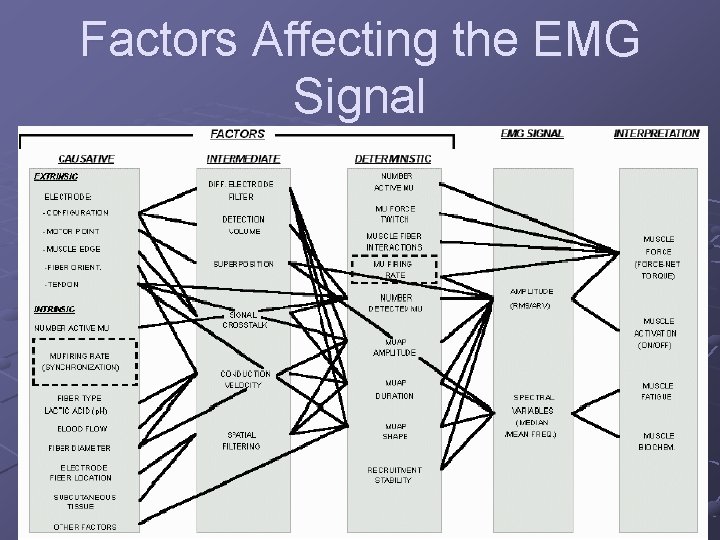 Factors Affecting the EMG Signal 