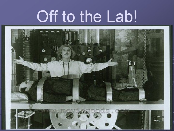 Off to the Lab! 