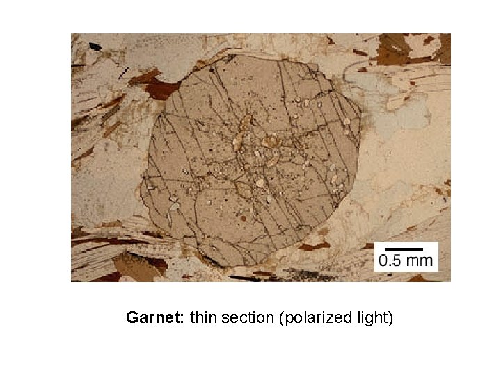 Garnet: thin section (polarized light) 