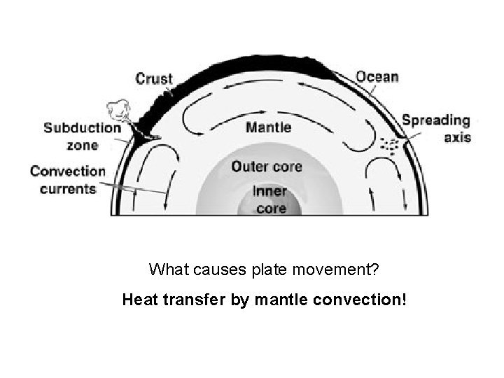 What causes plate movement? Heat transfer by mantle convection! 
