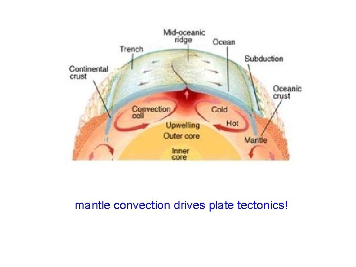 mantle convection drives plate tectonics! 