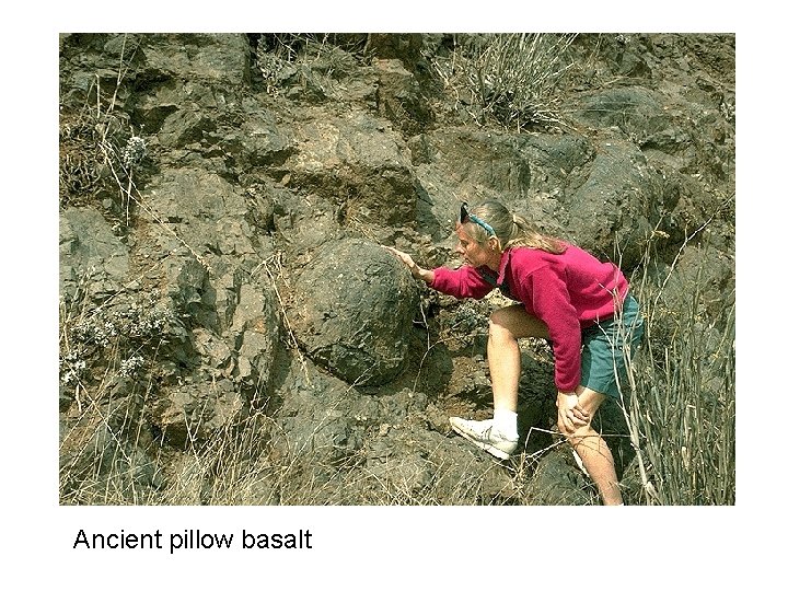 Ancient pillow basalt 