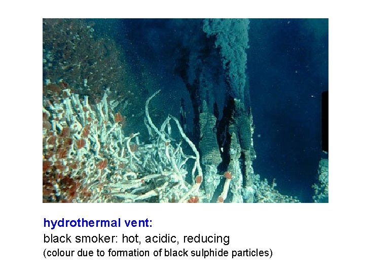 hydrothermal vent: black smoker: hot, acidic, reducing (colour due to formation of black sulphide