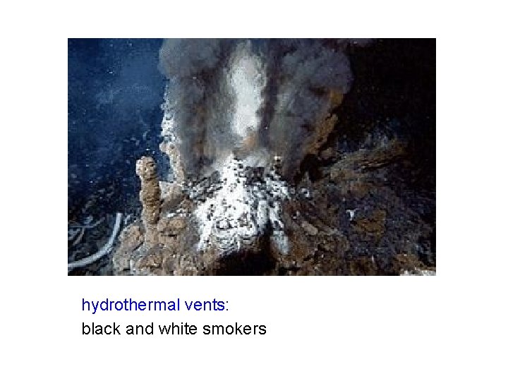 hydrothermal vents: black and white smokers 