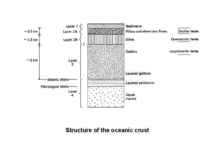 Structure of the oceanic crust 