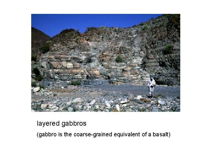 layered gabbros (gabbro is the coarse-grained equivalent of a basalt) 