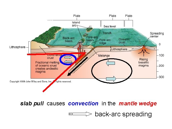 slab pull causes convection in the mantle wedge back-arc spreading 